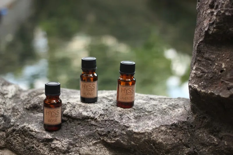 What Yuzu, Hinoki, and Sakura Are Actually Doing to Your Stressed American Brain