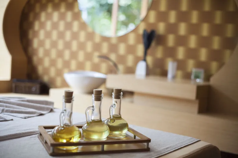 Beyond Relaxation: The Neuroscience Explaining Why Aromatherapy Massage Genuinely Heals a Burned-Out Brain