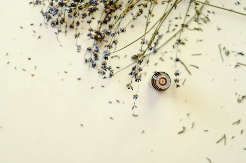 How a Single Scent Can Quietly Reprogram Your Nervous System for Months After Tokyo